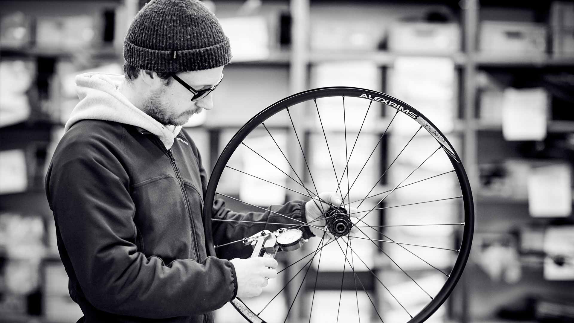 Inspektion & Service